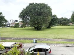 transit-road photo thumbnail #4